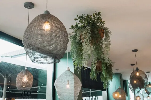 Lámparas y plantas del interior de ERREKA